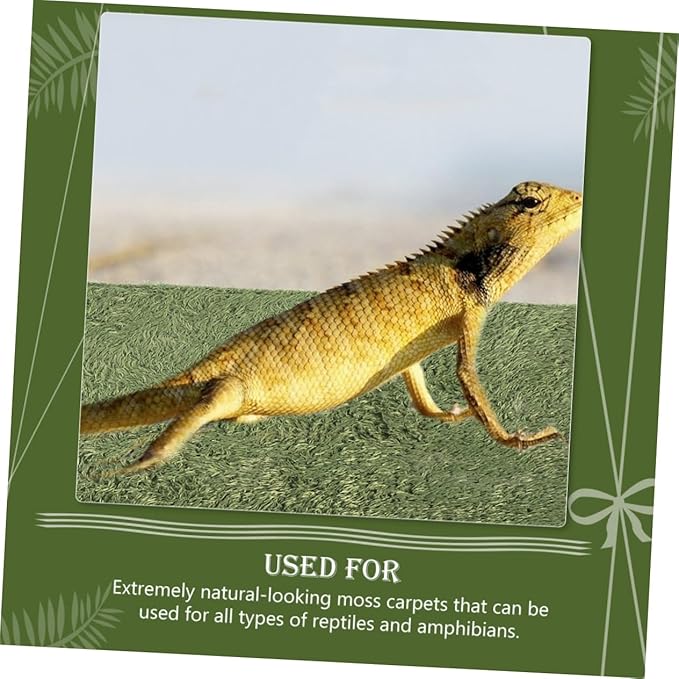 BESPORTBLE Double-Sided Absorbent Fake Lawn Mat Reptile Cage Mat Washable Crawl Pets Pad Tortoise Accessories Reptiles from Wet