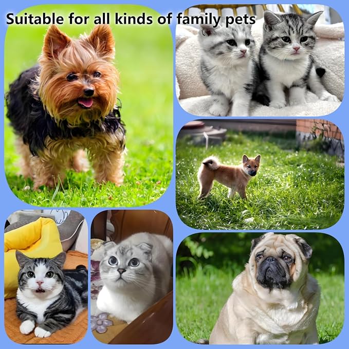 Cat Bed,for Indoor Outdoor Dog Beds & Furniture,Couch,Calming, Round,Fluffy, Cooling,Squish Mallow,Chew Proof,Waterproof,Non-Slip Bottom,Calming Dog Bed,Yellow(Yellow, M)