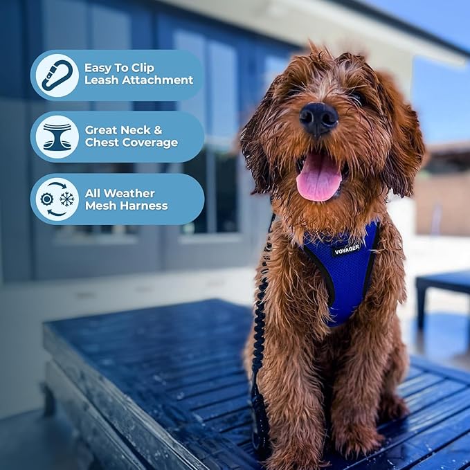 Best Pet Supplies Voyager Step-in Air All Weather Mesh Harness and Reflective Dog 5ft Leash Combo with Neoprene Handle, for Small, Medium and Large Breed Puppies - Set (Royal Blue/Black Trim), X-Large