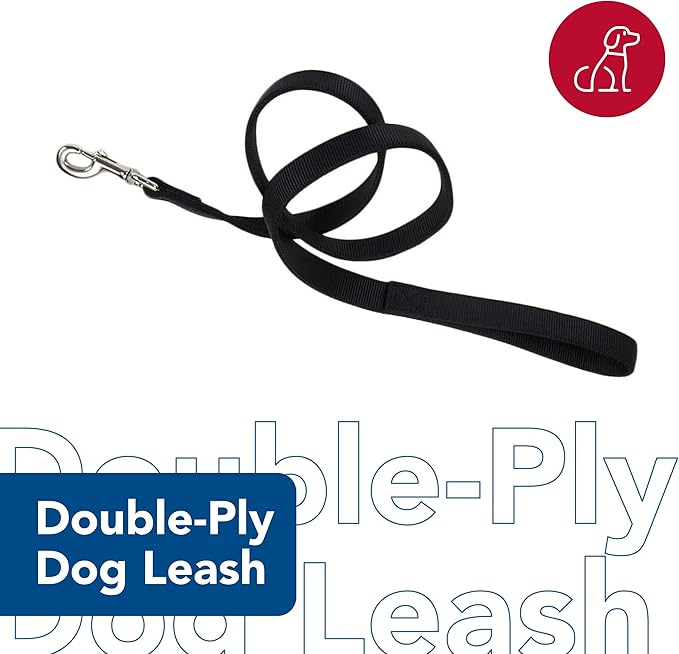 Coastal Pet Double-Ply Dog Leash - Bolt Snap Attachment to Collars and Harnesses - Nylon Dog Walking Leash for Small, Medium and Large Dogs - Pink Flamingo - 1" x 6'