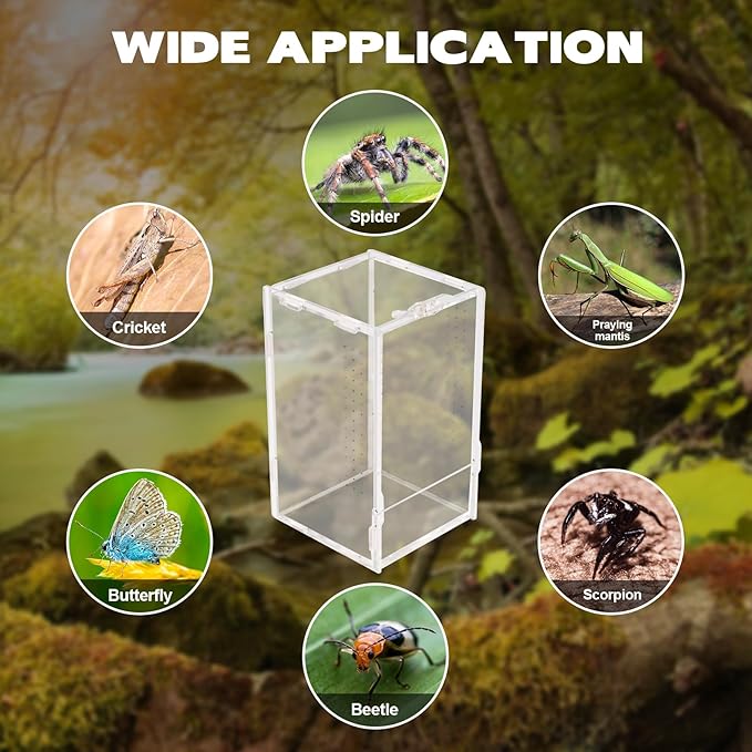 Rislobx Jumping Spider Enclosure, Acrylic Reptile Terrarium Enclosure Micro Habitat Tank Breeding Box for Tarantula Insect Small Reptiles (7.9" x 4.7" x 4.7")