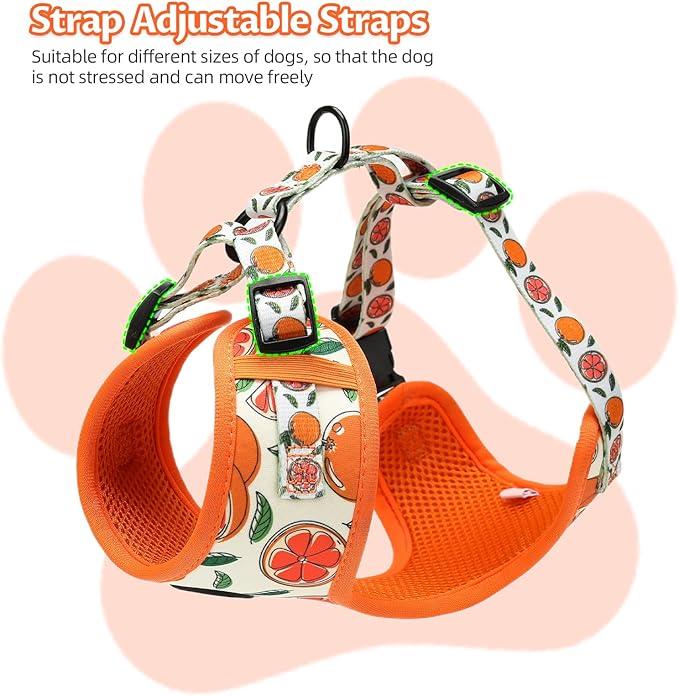 Small Dog Harness and Leash Set of 6, No Pull Soft Lightweight Mesh Puppy Harness， Adjustable Cute Floral Pattern Pet Harness for Small Medium Dogs (Orange, L)