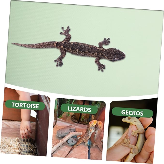 Milisten Reptile Carpet Substrate for Bearded Dragons Snakes and Lizards Non-Slip Easy to Clean Terrarium Liner for Gecko and Tortoise Habitat Sturdy 48 x 24 Size