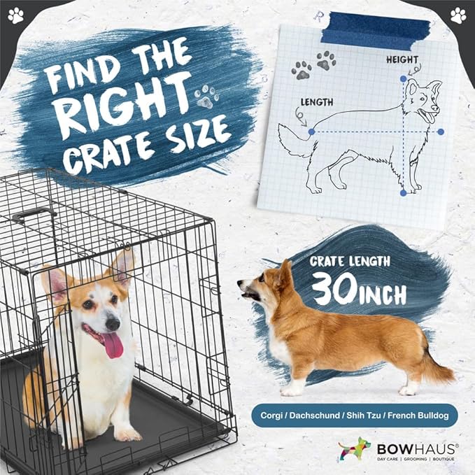 BOWHAUS 30-Inch Single Door Dog Crate Kit Includes Crate Cover, Dog Bed & 2 Bowls and Bowl Racks, Indoor Dog Cage Bundle Set, Foldable Wire Metal Dog Kennel w/Pan for Small, Medium Dog