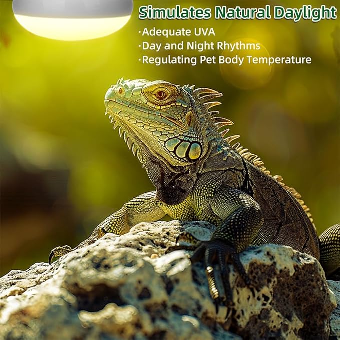DaToo Reptile Heat Lamp 100W Amphibians Basking Light Bulb UVA Heat Lamp Bulbs Daylight Basking Spot Light for Lizards Bearded Dragon Turtles Snakes Chickens Pet Brooder (2 Pack)