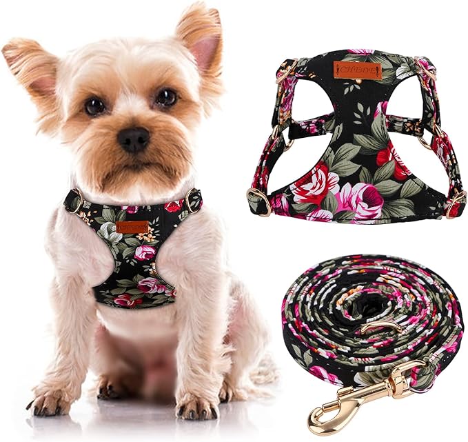 CHEDE No Pull Floral Pattern Dog Harness- Lightweight and Soft Harness, Adjustable Small Dog Harness and Leash Set, with Dog Leash, Suitable for Puppy Small and Medium-Sized Dog (XS, Black Flower)