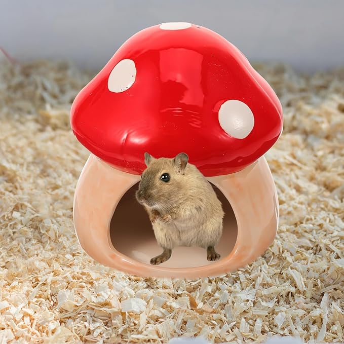 ABOOFAN Ceramic Hamster Hideout Mushroom Design Cooling Nest Small Animal Habitat Shelter for Dwarf Hamsters Gerbils and Mice