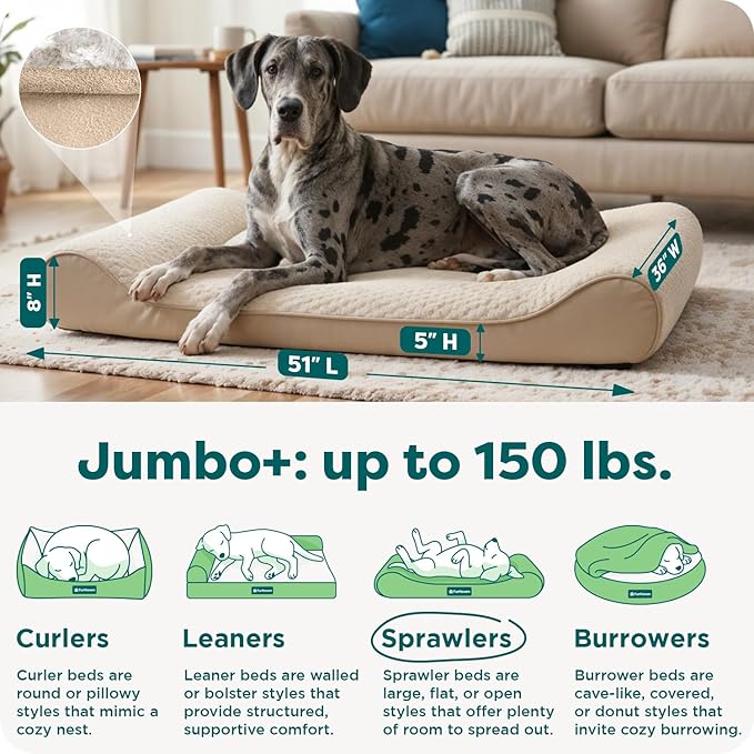 FurHaven Orthopedic Dog Bed for XX-Large Dogs, Luxe Lounger Contour Mattress with Medical-Grade Solid Orthopedic Foam for Joint Support, Removable Washable Cover - Jumbo Plus/XXL, Plush Suede, Cream