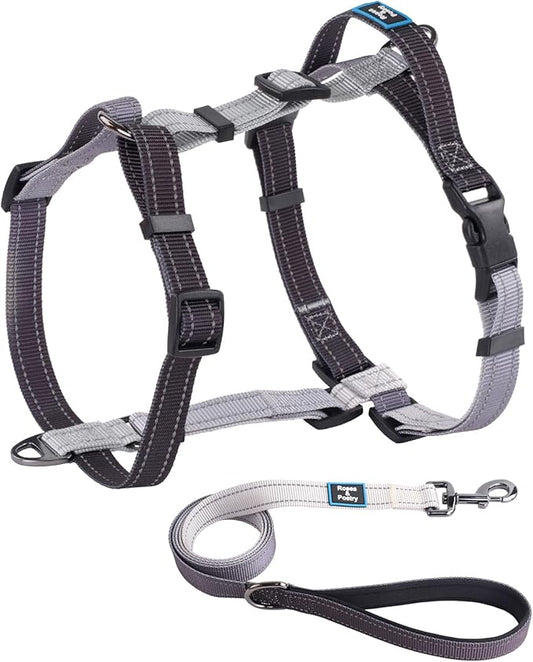 Roses&Poetry Puppy Dog Harness and Leash Set, No Pull Dog Harness Adjustable Reflective, Dog Halter Harnesses Comfort Padded Handle, Pet Harness for Training Outdoor Walking（BlackGray-M