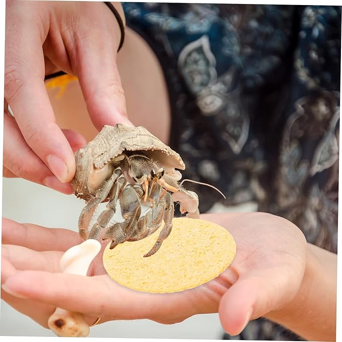 12Pcs Hermit Crab Sponges for Water and Cleaning Humidity Enhancing Sponges for Hermit Crab Habitats Ideal for Drinking and Maintenance of Crab Environments
