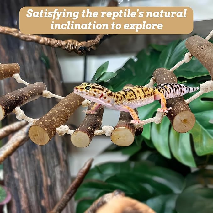 VCEPJH 2pcs Reptile Bridge Leopard Gecko Climbing Ladder Wooden Basking Lounger Reptile Tank Accessories for Hermit Crab Juvenile Bearded Dragon Chameleon Small Lizard (Fruit Wood)