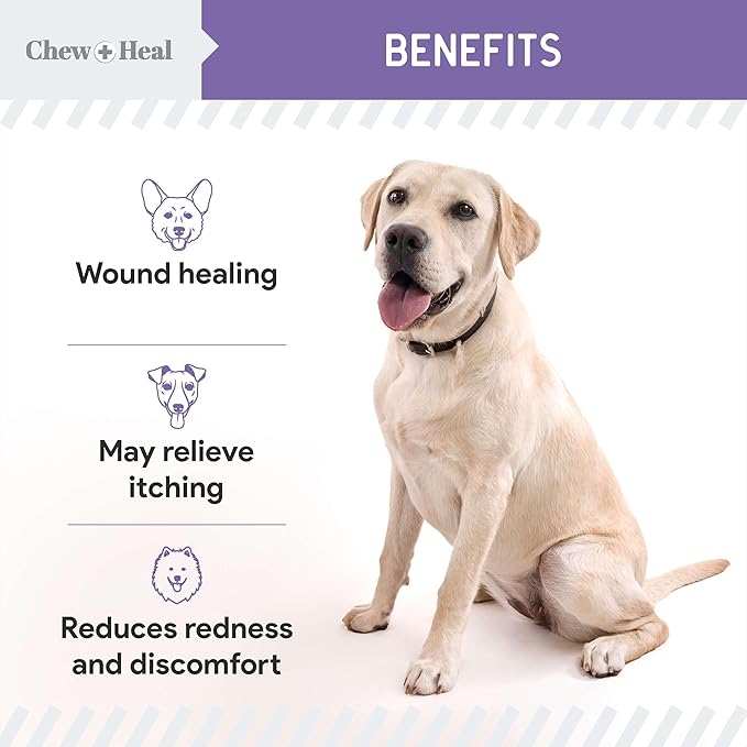 Chew + Heal Labs Hypochlorous Acid Lotion for Dogs – 4oz Dog Wound Spray for Cuts, Burns, Sores, Abrasions, and More – Non Toxic and Chemical Free Hot Spot Lotion – Made in the USA