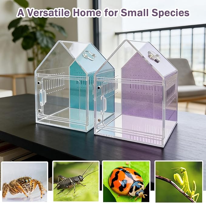 Magnetic Acrylic Spider Enclosure 5.3x5.3x7.3 Inch, House Shape Terrarium with Sparkling Purple Background for Jumping Spiders, Tarantula Slings & Mantis, Escape-Proof Habitat with Ventilation