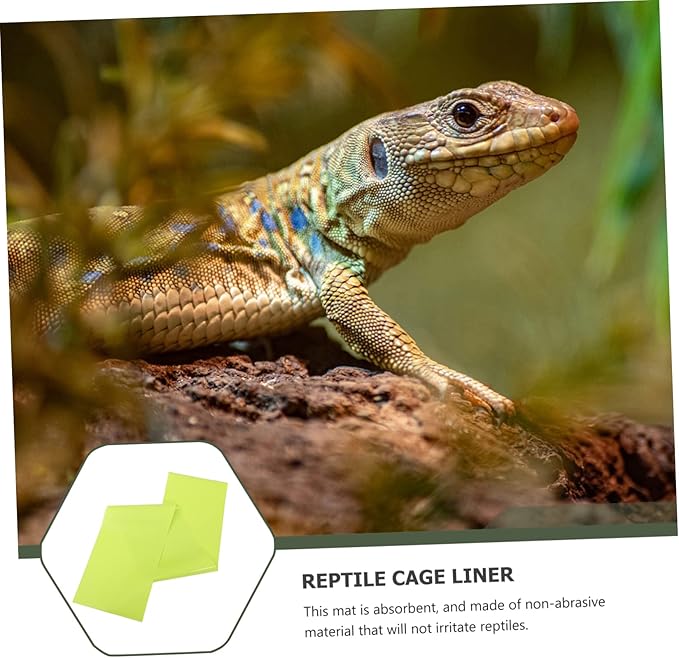 2pcs Reptile Tank Lizard Accessories Mat Substrate Liner for Bearded Dragon Reptile Carpet Mat for 10 Gallon Terrarium