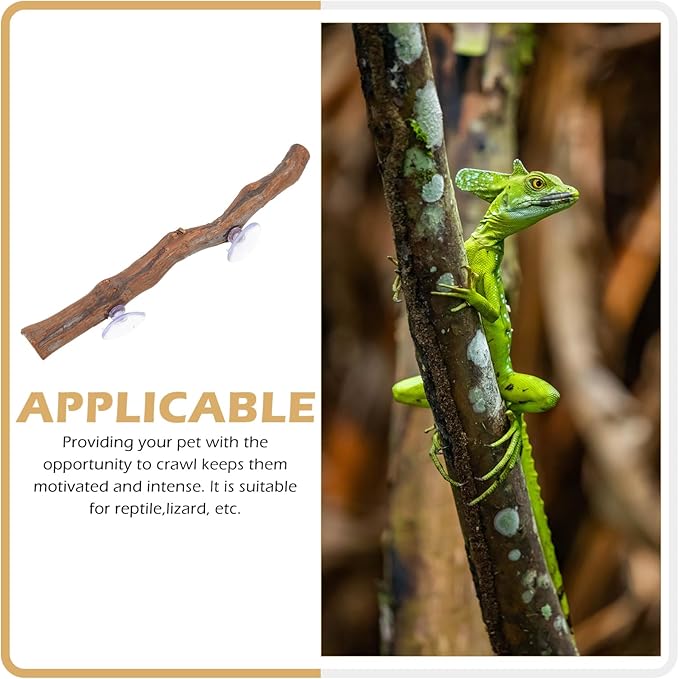 NUOBESTY Bearded Dragon Wooden Tree Branch Rack Lizard Climbing Toy Natural Reptile Decor for Terrarium Encourages Exercise Coordination for Reptiles Pets