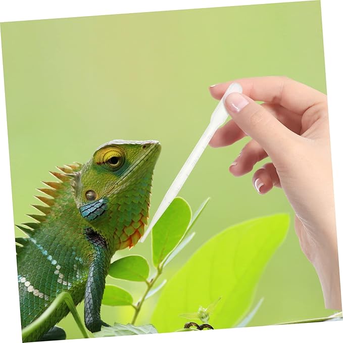 FRCOLOR 18pcs Plastic Reptile Feeding Clamp Insect Tweezer Reptile Accessories Tweezer Dropper