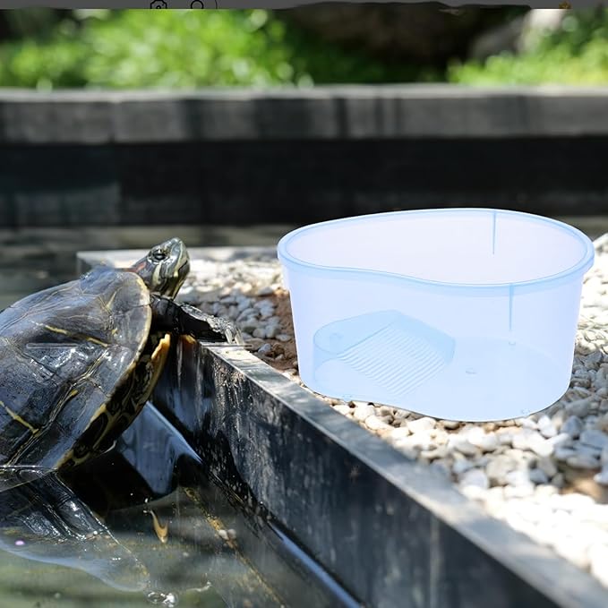 Live Fish Habitat A Size with Small Platform Lagoon-small Plastic Tank Drying No Wwamp Straw Turtle Sky Opening Cover Trees-turtle Blue Breeding