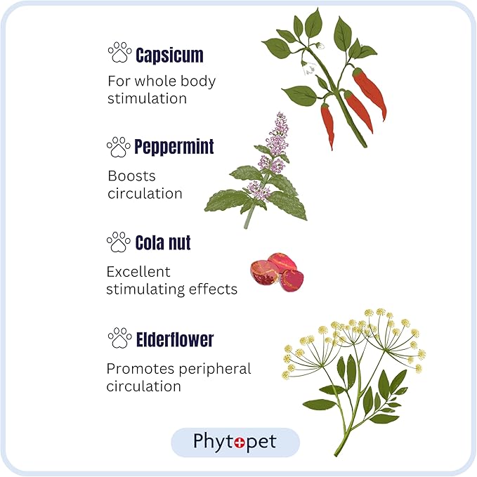 PhytoPet Life Drops | Natural Herbal Stimulant for Newborn & Elderly Pets | Ideal for Puppies, Kittens, Birds, Foals | 10ml
