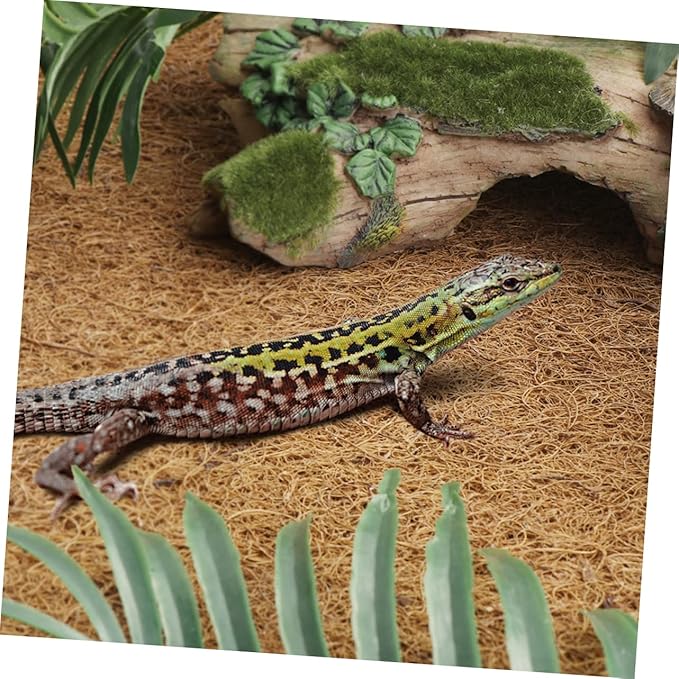 Reptile Coconut Fiber Carpet Mat Soft Terrarium Bedding for Lizards Tortoises Geckos Easy Clean Substrate Liner for Terrarium Habitat