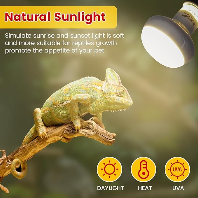 75W Reptile Heat Lamp Bulbs 2-Pack — UVA Daylight & Infrared Night Combo, Efficient Basking Light for Bearded Dragon, Lizard, Turtle, Chicken, E26 Base