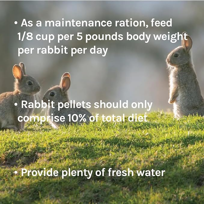 New Country Organics Rabbit Food Pellets | Essential Bunny Supplies | Corn-Free and Soy-Free | 15% Protein Rabbit Feed for Healthy Hoppers | Certified Organic and Non-GMO | 40 lbs