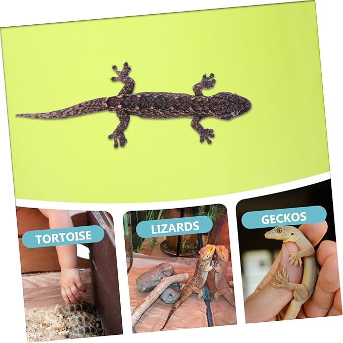 Eva Reptile Substrate Carpet for Terrariums Bearded Dragon Tank Bedding Lizard Snake Tortoise