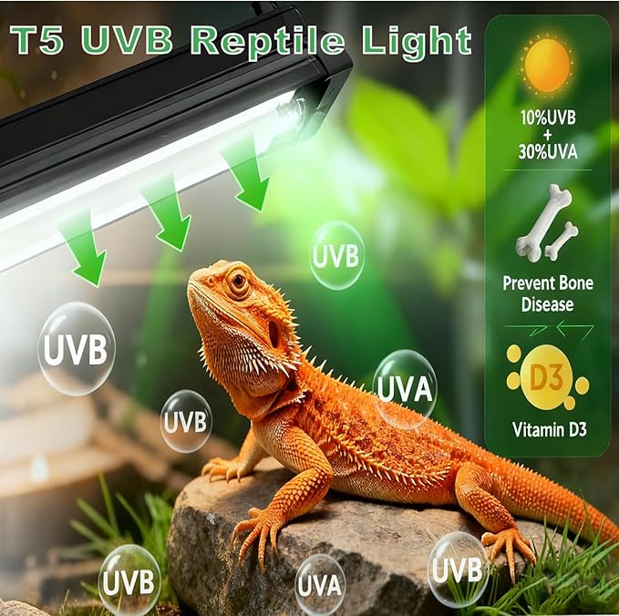 T5 HO UVB Lighting Kit, 8W Terrarium Hood with Detachable Curved Reflector, Desert 10.0 UVB T5 Lamp (8 Watts)