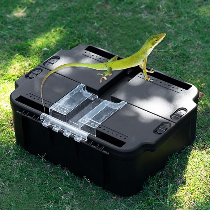 Flushbay Portable Reptile Cage Carrier Tank with Handle Reptile Transport Container Terrarium Box Habitat Cage Pet Houses for Turtle, Gecko, Bearded Dragon, Lizard, Frog, Snake, Spider