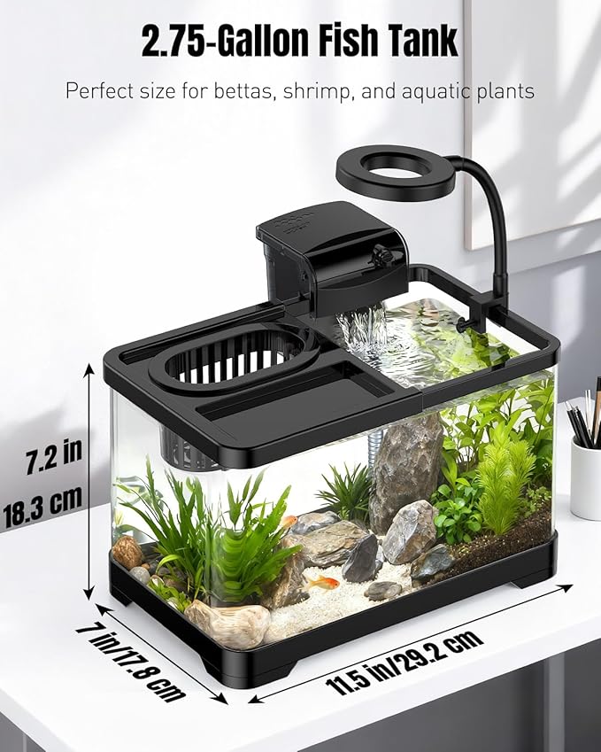 Pawfly 2.75 Gallon Fish Tank, Small Aquarium Kit, Betta Fish Tank Starter Kit with 6 W LED Light, 65 GPH Filter, Siphon Vacuum Water Changer & Basket, Aquarium for Betta, Shrim, or Small Fishes