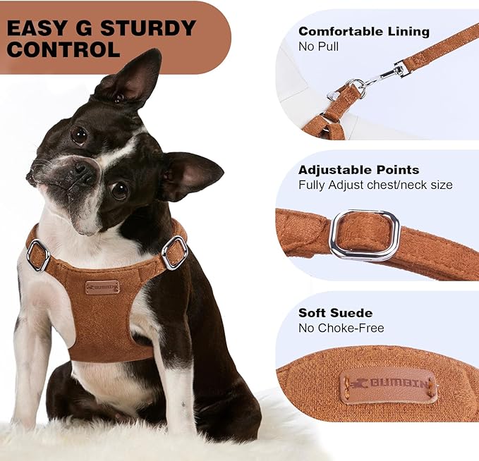 Dog Harness and Leash Set, XXS No Pull Adjustable Puppy Harness with Multifunction Pink Dog Leash and Dog Collar, Soft No Choke Escape Proof Pet Harness Vest for Small Dogs and Cats (Brown, XS)