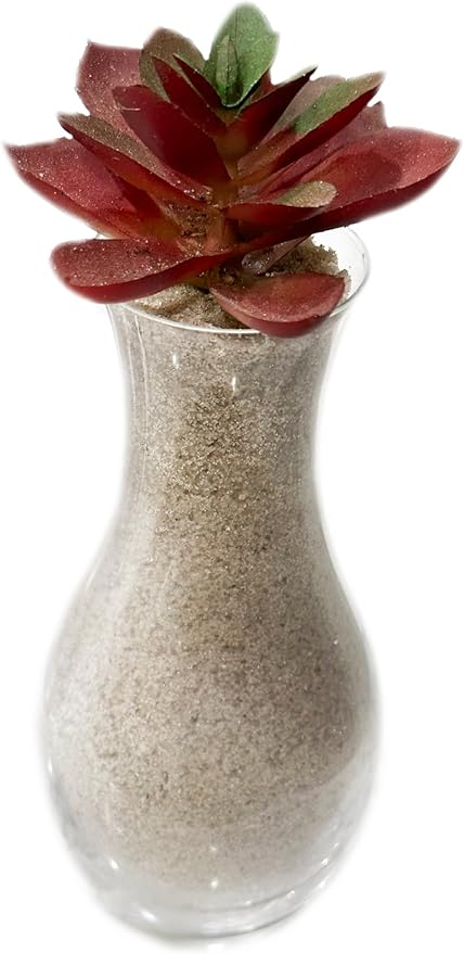 2 Pounds Natural Decorative Real Sand for use in Crafts, Decor, Vase Filler and More | Natural and Non-Toxic, Fun Wet and Dry Indoor and Outdoor, Sandbox, Therapy, and Table Use.
