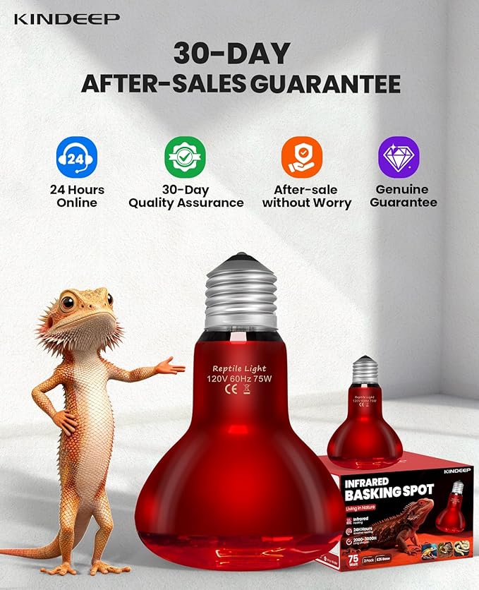 KINDEEP Infrared Heat Lamp Bulbs: 75W Reptile Heat Light 2 Pack - Red Basking Spot Light Bulbs Reptile Heating lamp for Lizard Bearded Dragon Turtle Snake Leopard Gecko Tortoise Chickens