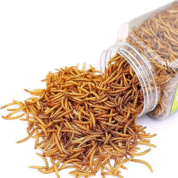 Reptile Food Dried Mealworms Pet Worms Food for Bearded Dragon, Lizard, Turtles, Chameleon, Monitor, Frog, Sugar Glider, Chickens, Birds, Hamsters and Hedgehogs (3.5 OZ)