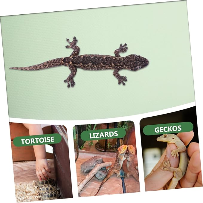 Reptile Carpet for Terrarium Bearded Dragon Snake Tortoise Bedding Eva Mat Cut-