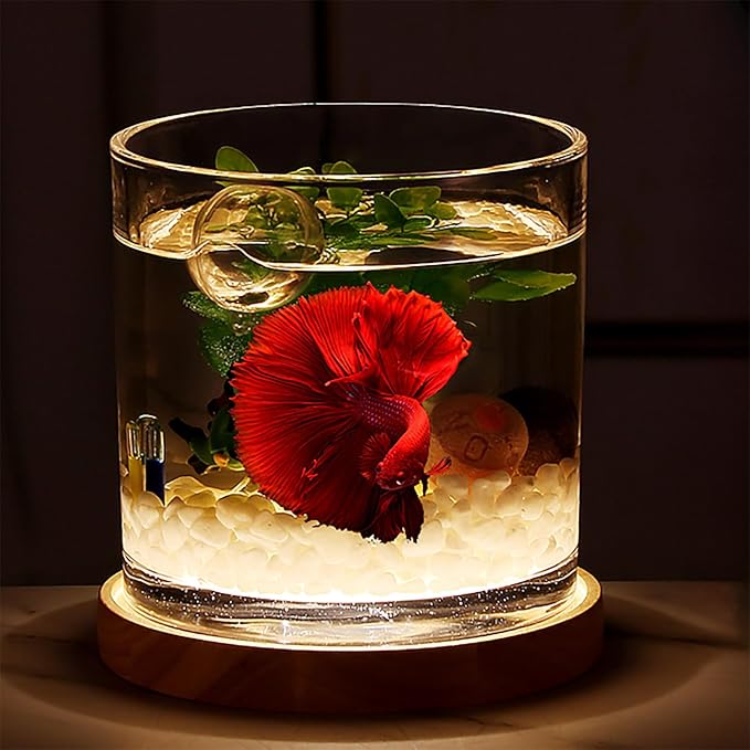 Aquarium Starter Kits 0.81-Gallon Fish Tank（6 inches） for Beginner Cylindrical Betta Fish Bowl with Wooden Base LED Light Water Pump Accessories Self-Cleaning Filter Copyright Patent