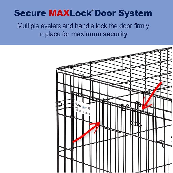 MidWest Homes for Pets Intermediate Ovation Double Door 36-inch Folding Metal Dog Crate, Front and Up & Away Side Doors, Space-Saving Design