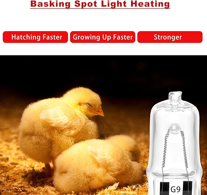 3 Pack Replacement G9 Basking Spot Heat Lamp for Chickens, Tiny Clear Bulbs Beads (25 Watt)