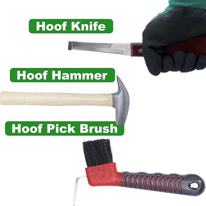 lukar 12PCS Farrier Tools Kit Includes Horse Hoof Nipper, Horseshoe Cutting Pliers, Hoof Nail Clincher, Goat Hoof Trimmers Shear, Hoof Hammer, Hoof Knife, Rasp File, Horseshoe Brush, Handbag, Gloves