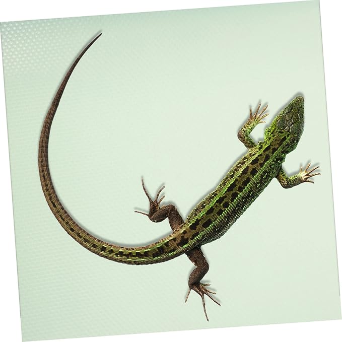 Reptile Carpet for Reptiles Snakes Terrarium Liner Snake Bedding Vivarium Accessories Easy to Carry
