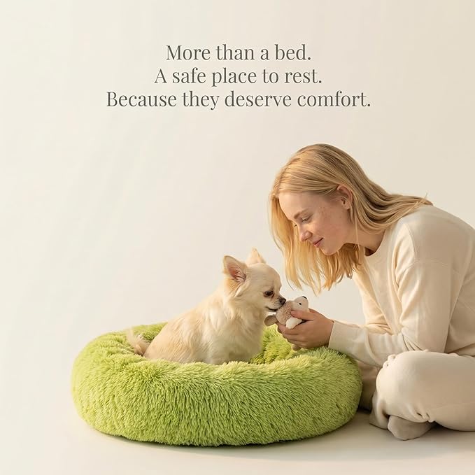 Calming Donut Dogs Beds for Small Dogs Washable,19inch Fluffy Round Puppy Bed for Puppies,Cats & Toy Breeds with Raised Rim,Fits up to 15 lbs Pets,Green