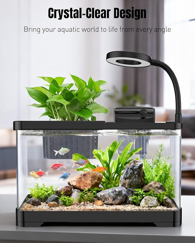 Pawfly 2.75 Gallon Fish Tank, Small Aquarium Kit, Betta Fish Tank Starter Kit with 6 W LED Light, 65 GPH Filter, Siphon Vacuum Water Changer & Basket, Aquarium for Betta, Shrim, or Small Fishes