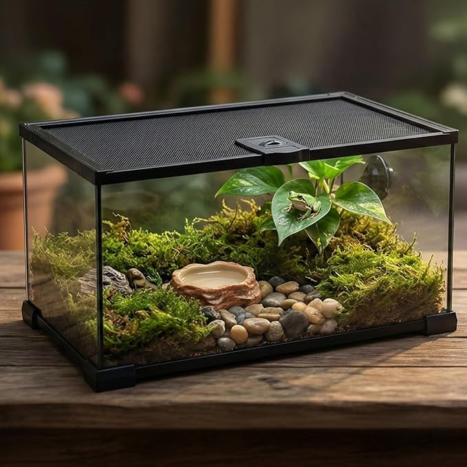 10 Gallon Reptile Tank: 20x12x10 Leopard Gecko Tank with Sliding Screen Top - Glass Terrarium with Lockable Lid for Small Lizard Snake Turtle Hermit Crab Habitat - Desert Dedcor Accessories