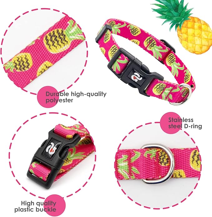 azuza Dog Collar and Leash Set, Pineapple Patterns on Nylon Collar and Matching Leash, Great Option for Medium Dogs