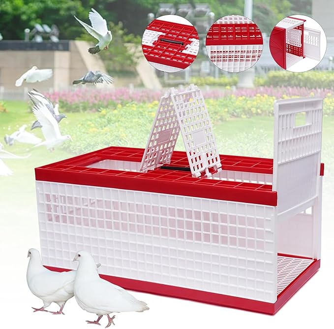 23.62 * 12.2 * 10.24" Transportation Pigeon Cage, Foldable Pigeon Cage, Capacity 14 Birds, with Handle & Side Doors + 2 Top Department, for Training and Release Competition
