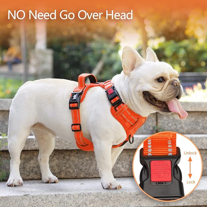 PoyPet No Pull Dog Harness, No Choke Reflective Dog Vest, Adjustable Pet Harnesses with Easy Control Padded Handle for Small Medium Large Dogs(Orange Matching Trim,XL)