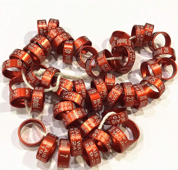 100pcs Metal Bird Rings 2mm-14mm Parrot Leg Bands Pigeon Chicks Bantam Poultry (Customized)
