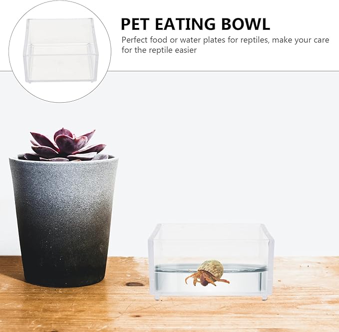 2pcs Acrylic Reptile Terrarium Reptile Aquarium Breeding Tank Transparent Feeding Box Bathing Pool for Frogs Hermit Crabs Lizards Tank