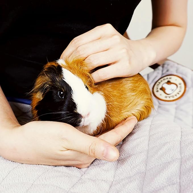 GuineaDad Original Liner - Gray Fleece Guinea Pig Bedding - Reusable Guinea Pig Cage Liner - Extra Absorbent Liner with Waterproof Bottom - Small Pet Supplies