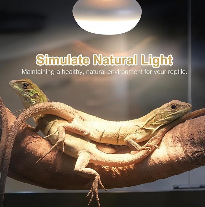 KINUR Reptile Heat Lamp Bulb-75W 2 Pack,UVA Basking Light,Natural Daylight Heating Light for Bearded Dragon,Turtle,Tortoise,Lizard,Snake,Gecko,Chicken with Digital Temperature Strips E26