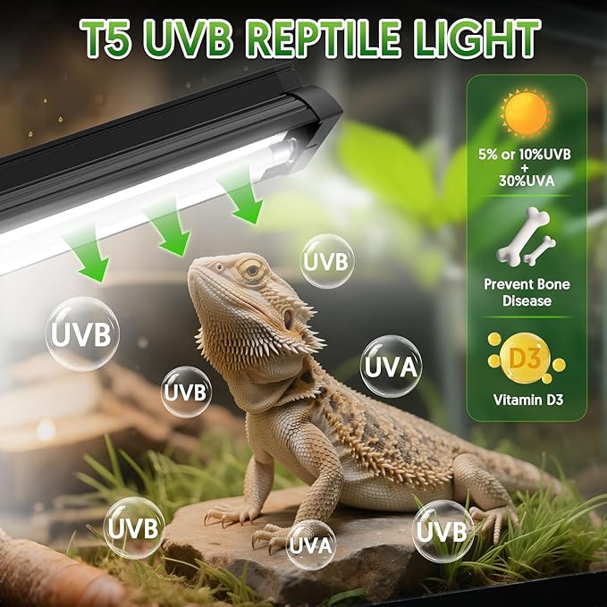QZQ T5 UVB Reptile Light Fixture Combo Kit 8W, UVB Light for Reptiles with Switchable 5.0 & 10.0 UVB Output, Terrarium Hood Lamp for Bearded Dragon, Snake, Gecko, Tortoise, Lizard